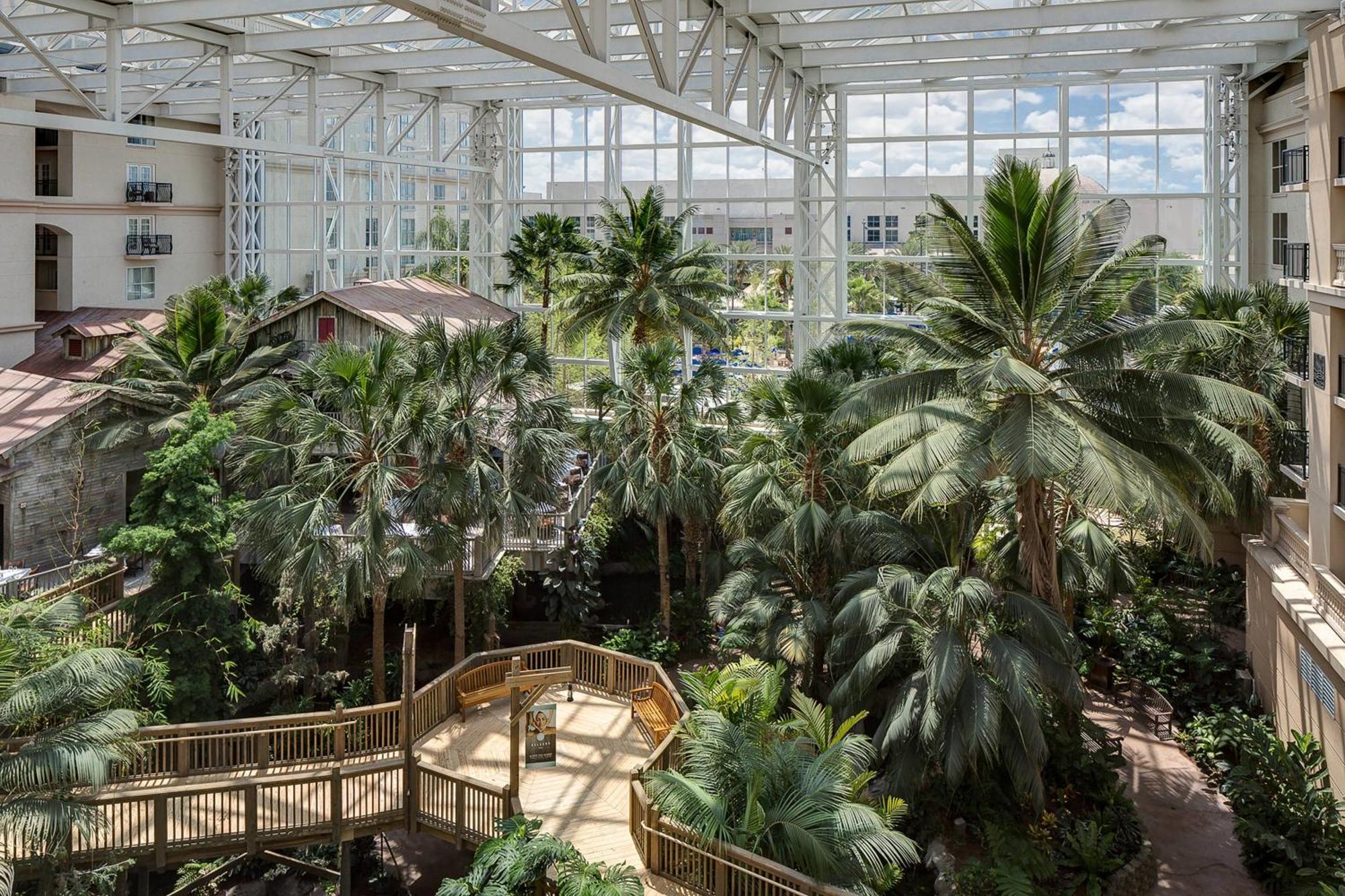 Gaylord Palms Resort & Convention Center Orlando Extérieur photo